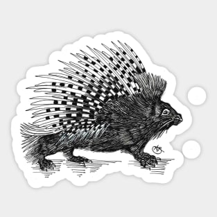 Porcupine strutting along... Sticker